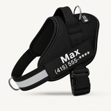 PawForge Personalized Powerharness