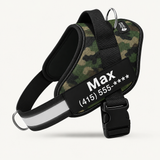PawForge Personalized Powerharness