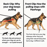PawForge Personalized Powerharness