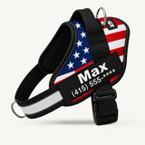 USA Flag