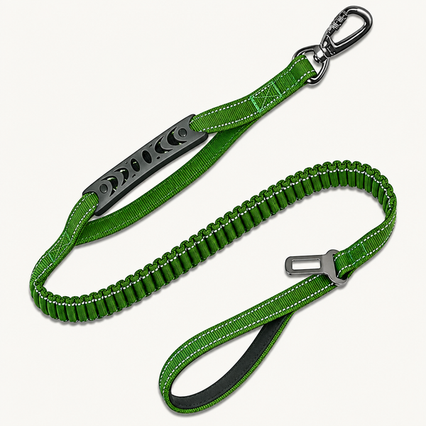PawForge Retractable Dog Leash